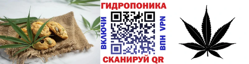 Canna-Cookies конопля  Купить  Усть-Катав 