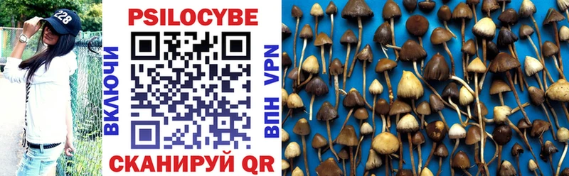 Купить где  Усть-Катав  Псилоцибиновые грибы Magic Shrooms 